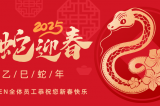 辭舊迎新，蛇舞華章丨深圳容金科技全體員工祝您新春快樂！